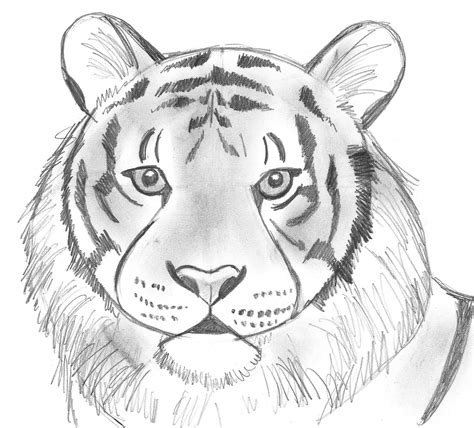 Drawing Images .